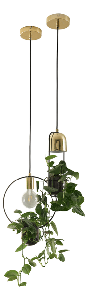Hanging Light